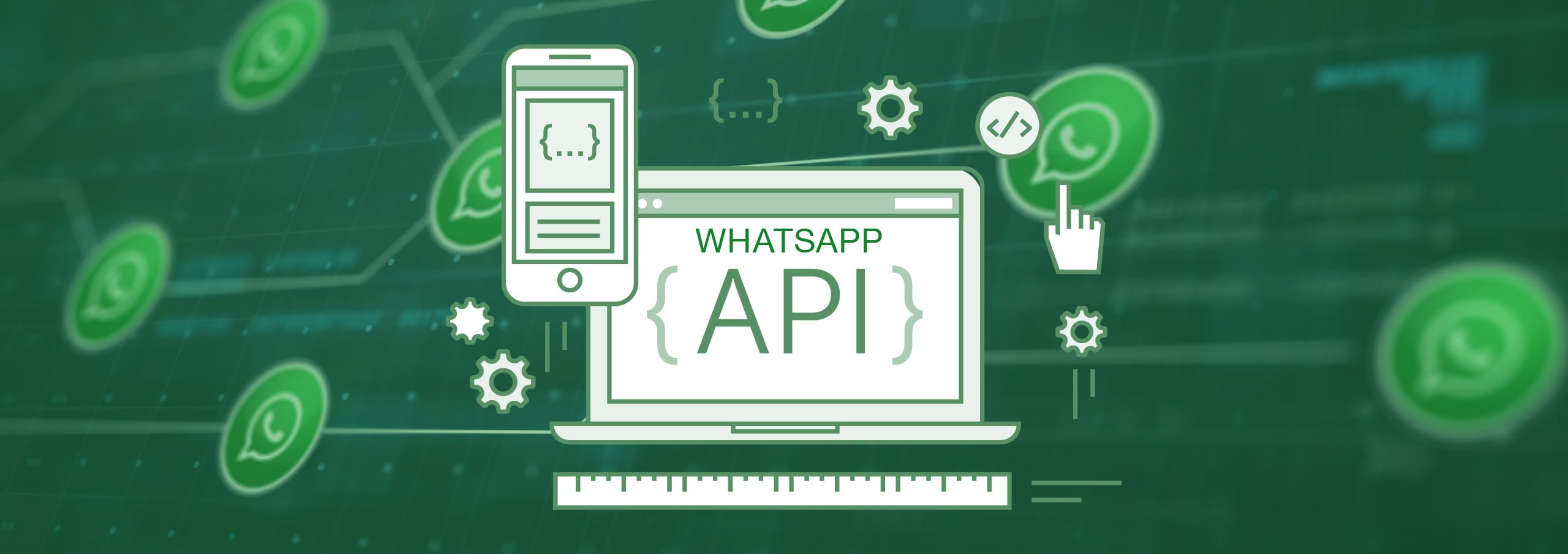 whats app marketing