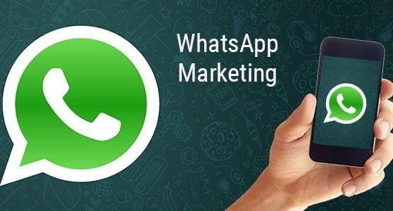 Bulk Whatsapp Marketing Solutions -c2sms